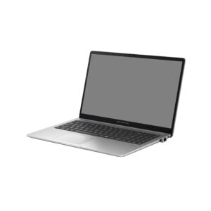 ASUS ExpertBook P1 P1503CVA-S71678XA | 16GB | 512GB SSD