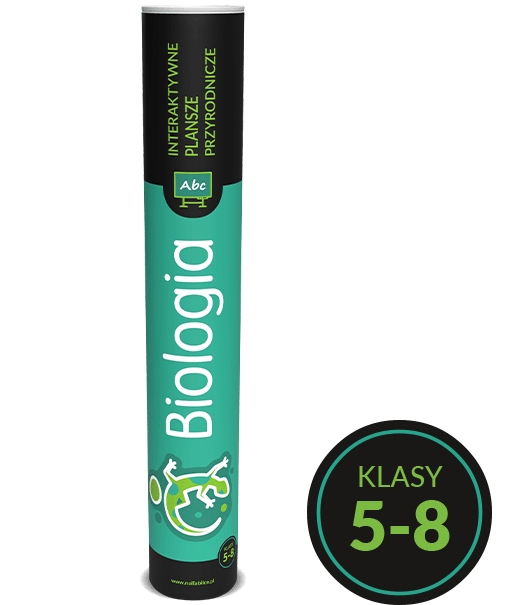 IPP – Plansze przyrodnicze – BIOLOGIA kl.5-8